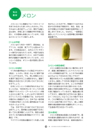 メロン