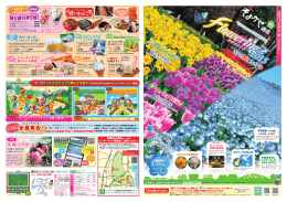 そよかぜ通信2015春号