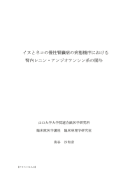 イヌとネコの慢性腎臓病の病態機序における