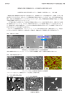 SEM(走査電子顕微鏡)を用いた各種材料の解析事例の紹介 表面の被覆