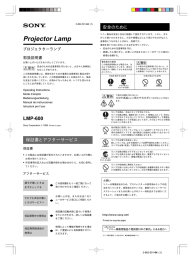 Projector Lamp