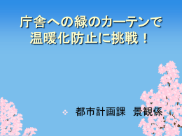 庁舎への緑のカーテンで 温暖化防止に挑戦！