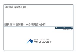 新興国市場開拓にかかる調査・分析