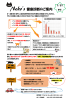 Neko`s 健康診断のご案内