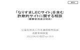 「なりすましECサイト」を含む 詐欺的サイトに関する相談