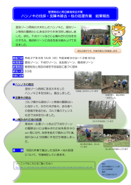 （ハンノキの伐採、支障木除去、枝の処理）（PDF：300KB）