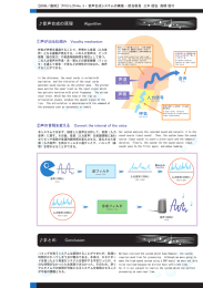 音声合成の原理 Algorithm 音声 呼気 入力信号 声帯 声道 まとめ