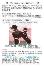 プードルカットにしませんか？
