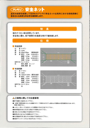 安全ネット