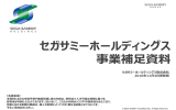 事業補足資料 - セガサミーホールディングス