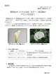 県育成オリジナル花き「カラー」新品種の ブランド名決定！