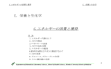 エネルギーの消費と獲得