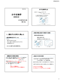 配布資料タイプ