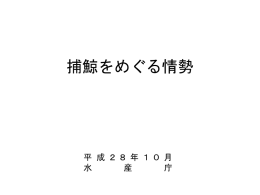 捕鯨をめぐる情勢