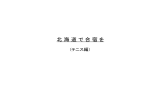 日本語（Japanese)【PDF】