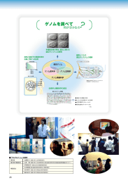 そもそもゲノム2 somosomo2