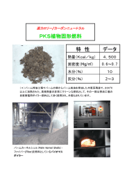 PKS植物固形燃料 データ 特 性