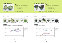 どんな調理法にもよく合う、清涼感のある野菜 しなやかな葉質なので