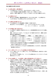 のpdf 850kb
