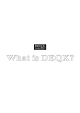 What is DEQX?
