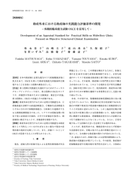 助産外来における助産師の実践能力評価基準の開発