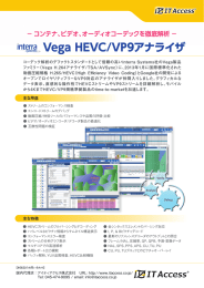 Interra Vega HEVCアナライザ カタログ