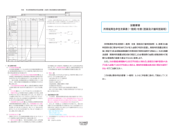 記載要領 所得税青色申告決算書（一般用）付表《医師及び歯科医師用》