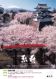 桜 - 弘前公園