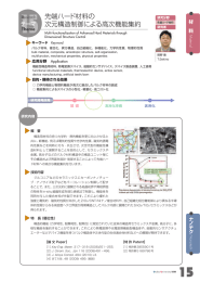 先端ハード材料の 次元構造制御による高次機能集約