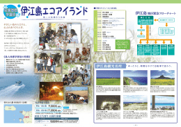 伊江島 民泊の詳しい資料はこちら（PDF）