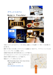 デラックスホテル Mandarin Plaza Hotel