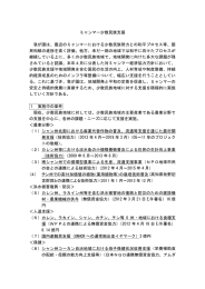 ミャンマー少数民族支援（パッケージ）（PDF）