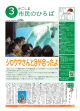 市民のひろば - 鹿児島市広報デジタルアーカイブ