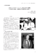 PDFファイル - 日本マイクロサージャリー学会