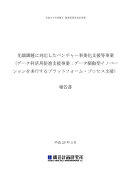 先端課題に対応したベンチャー事業化支援等事業 （データ