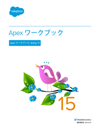Apex ワークブック - Salesforce.com