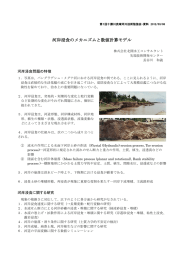 河岸浸食のメカニズムと数値計算モデル