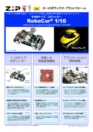 RoboCar&reg; 1/10