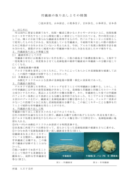 竹繊維の取り出しとその精製（PDF：45KB）