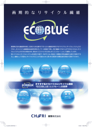 ECO BLUE