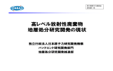 高レベル放射性廃棄物 地層処分研究開発の現状