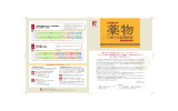 立命館大学 調査結果報告