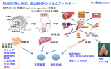 基本医学総論免疫学（修士）・医学総論免疫学