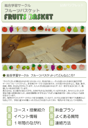 公式パンフレット - Fruits Basket Organizer