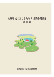 過疎地域における地域の逸品発掘調査（概要版 ）