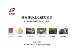 （全52ページ）（PDFファイル／14.6MB）