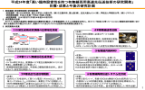 平成24年度「高い臨時設営性を持つ有無線両用高速光伝送技術の研究