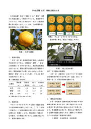 カキ新品種`太天`の特性と脱渋技術