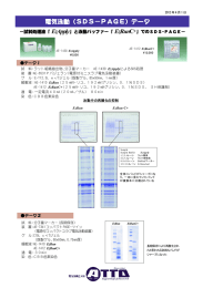 電気泳動（SDS－PAGE）データ