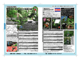 大阪~名古屋~札攪・福岡発着をご希望の方はお問C`合ゎせ下さい。